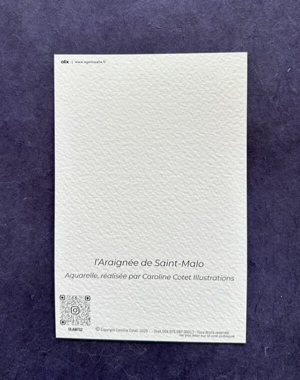 L'araignée de Saint-Malo