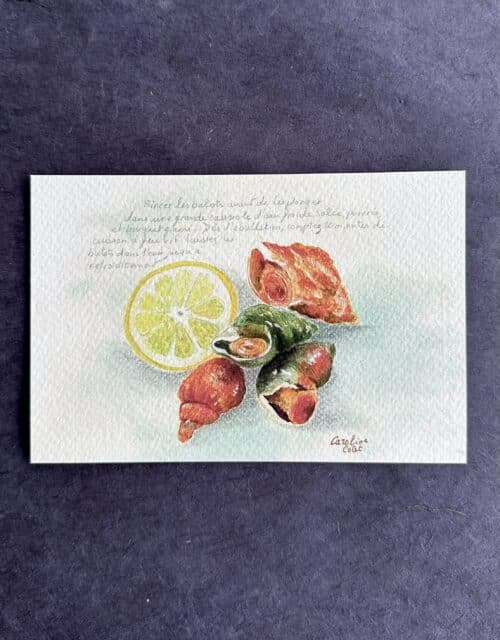 BULOTS Les bulots de Granville