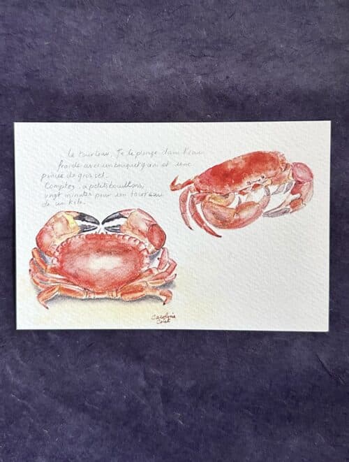 CRABER Le tourteau de Saint-Malo