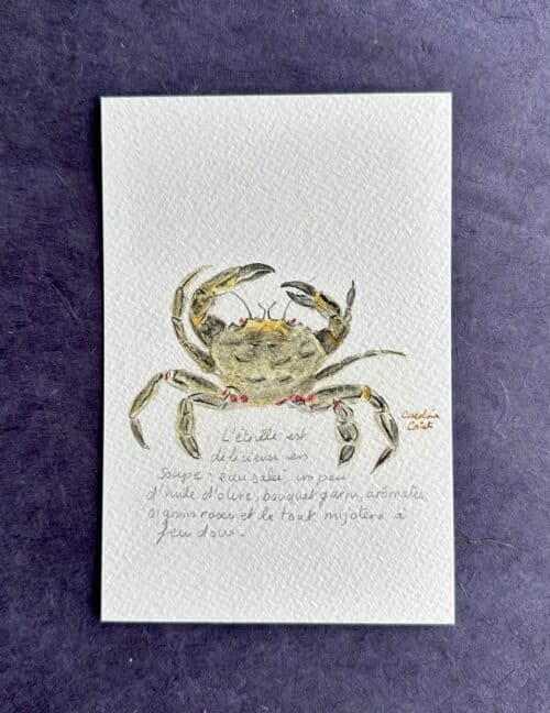 ETRILLERECTO L'Etrille