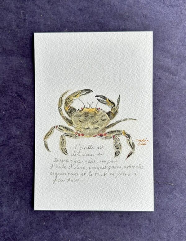 ETRILLERECTO L'Etrille