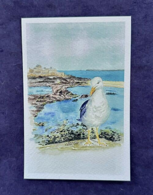 GOELANDFORTR Jonathan garde du Fort National