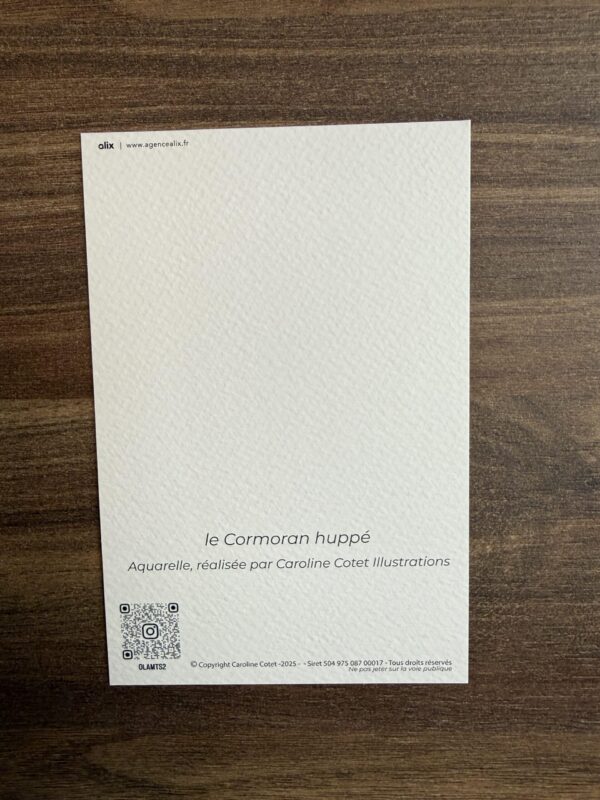 IMG_4475 Le cormoran Huppé