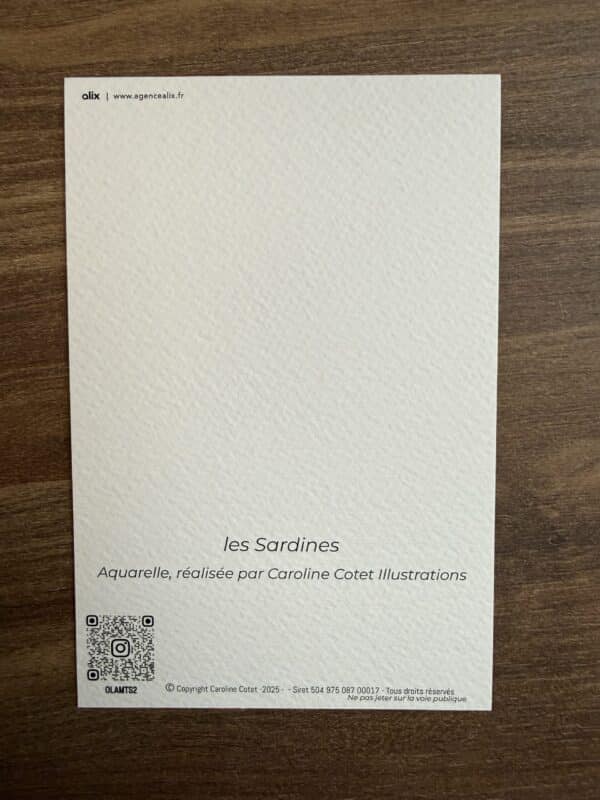 IMG_4514 Les sardines