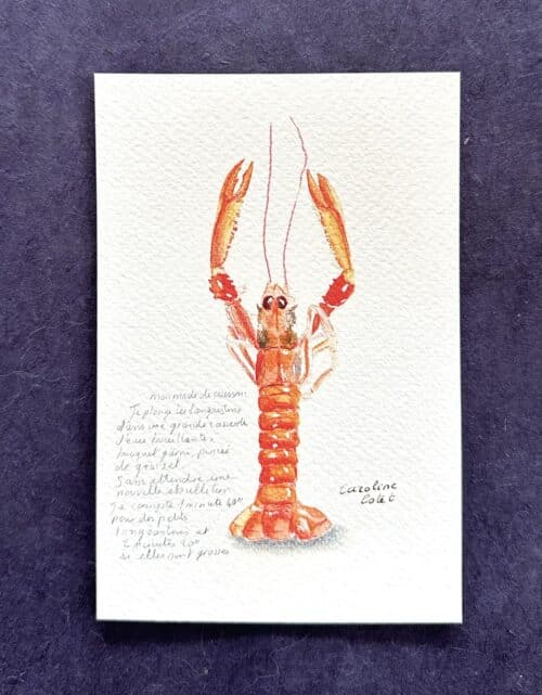 La langoustine du Guilvinec