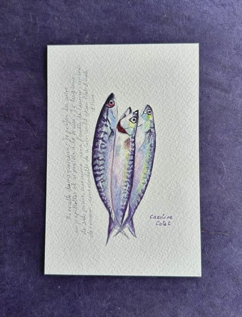 MAQUEREAUXR Les maquereaux