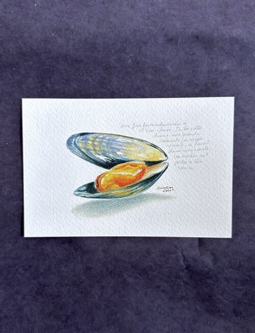 moule Les moules de bouchot