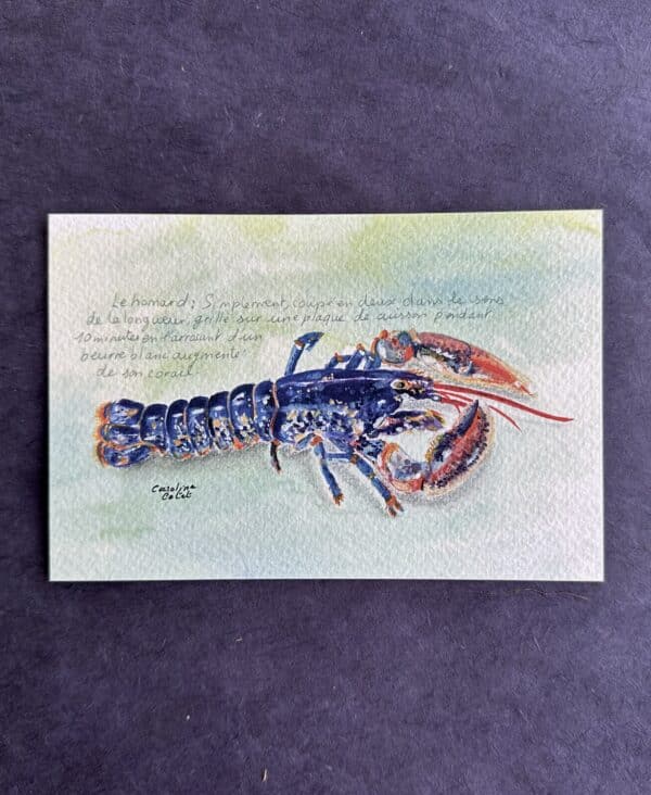 HOMARD Le homard de Chausey