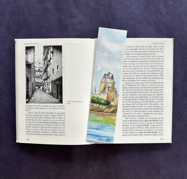 IMG_0243 La Tour Solidor