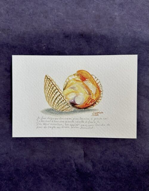 coque La coque de Saint-Jacut-de-la-Mer