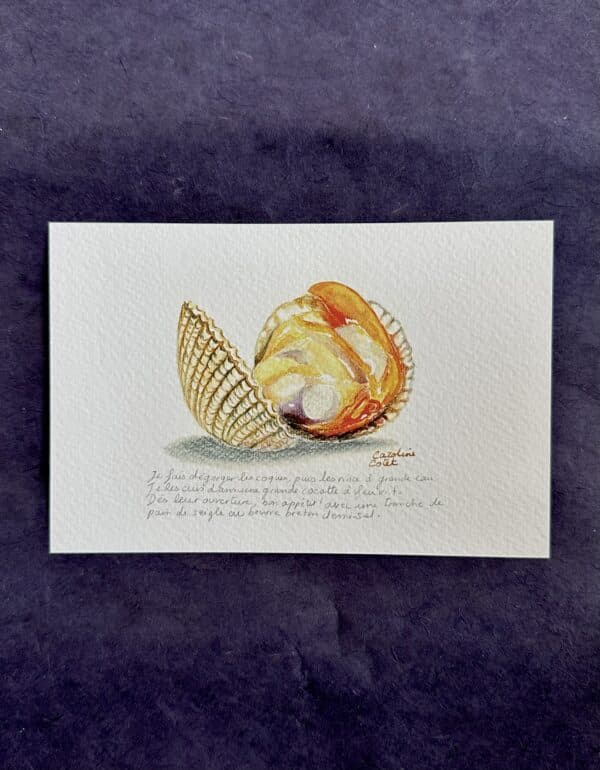 coque La coque de Saint-Jacut-de-la-Mer